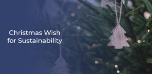 Sustainable Christmas